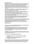 Sistemas de tráfico y transporte.