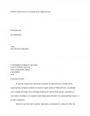 Innovación en el mundo de las organizaciones