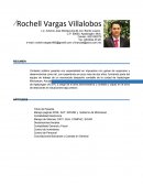 En el 2013 comence a practicar en el Despacho Contable “Salvador Oros y Asociados” A.C.