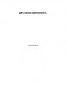 Actividad Contabilidad gubernamental