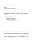 SISTEMATIZACION DEL CURSO DE TALLER DE TRABAJO SOCIAL DE GRUPOS