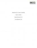 Identificación de Aspectos Ambientales.