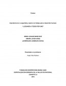 Importancia de la seguridad y salud en el trabajo para el desarrollo humano