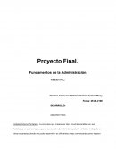 Tema- Fundamentos de la administracion..