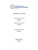 Fundamentos de la economia reflexion..