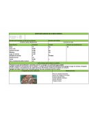 RECETARIO BASADO EN EL MENÚ SEDESOL