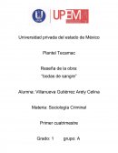 Resumen de bodas de sangre.