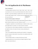 No a la legalización de la Marihuana ¿Qué es la Marihuana?