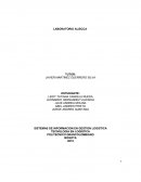 EL LABORATORIO DE ALISSCA.