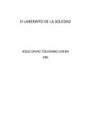 Tema> Laberinto de la soledad.