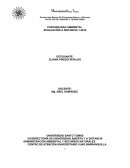 Contabilidad ambienta.