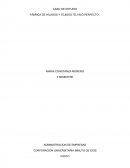 CASO DE ESTUDIO FÁBRICA DE HILADOS Y TEJIDOS “EL HILO PERFECTO”.