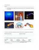 Examen. Ciencias Naturales