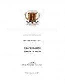 ENSAYO DEL LIBRO TERAPIA DE JUEGO