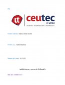 Análisis interno y externo de McDonald´s