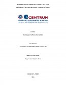 Resumen caso Nickelodeon en Latinoamerica