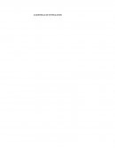 CUADERNILLO DE ESTIMULACION.