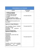 CRONOGRAMA DE ACTIVIDADES TEMAS