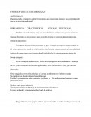 TEMA> CUADRO COMPARATIVO DE LAS HERRAMIENTAS QUE PROPORCIONA INTERNET Y LAS POSIBILIDADES DE USO EN MI ACTIVIDAD PROFESIONAL