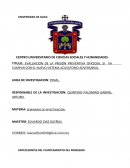 EVALUACION DE LA PRISION PREVENTIVA OFICIOSA.