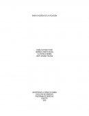 ENSAYO ACERCA DE LA VOCACIÓN