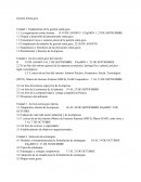 Programa gestion estrategica.