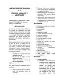 CELULAS ANIMALES Y VEGETALES.