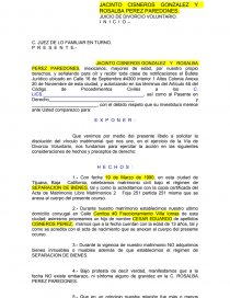 JUICIO - DIVORCIO VOLUNTARIO.. Página 1