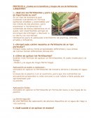 ¿Cuáles son lo beneficios y riesgos del uso de fertilizantes y plaguicidas?