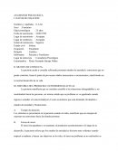 Lugar de entrevista	: Consultorio Psicológico.