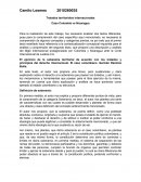 Tratados territoriales internacionales Caso Colombia vs Nicaragua