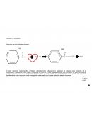 Obtención del éster Salicilato de metilo