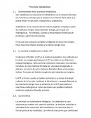 Los Procesos metabólicos.