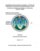 PROGRAMA ACADEMICO DE DESRROLLO PROFESIONAL DOCENTE –PADEP.