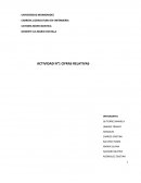 Actividad Cifras relativas