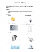 BIOMOLÉCULAS ORGÁGINCAS.