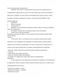 Parcial Comportamiento Organizacional.