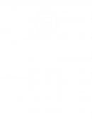 Cuestionario de Anatomia del sistema nervioso y organos de los sentidos (diagnostico)