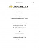 Trabajo Final de Cátedra..