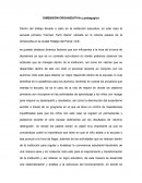 DIMENSIÓN ORGANIZATIVA y pedagogica