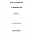 Técnicas De Aprendizaje Autónomo.