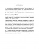 Planificaciòn estratègica-ENSAYO