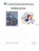 IMPACTO DE LA TRIBOLOGIA EN LOS COSTOS DE MANUFACTURA Y MEDIO AMBIENTE.