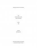 ANALISIS DE COSTO DE LOS ACCIDENTES