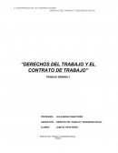 DERECHOS DEL TRABAJO Y EL CONTRATO DE TRABAJO.
