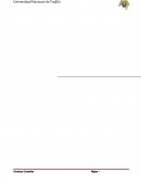 El ciudadano que ha decidido desarrollar actividades económicas como persona física o moral necesita conocer la importancia de los estados financieros.