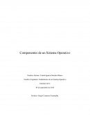 Componenetes de programacion