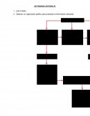 Para el autor ¿Qué significa “Ventana de Oportunidades” y desde cuando se la tiene?