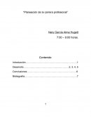 Planeación de la carrera profesional