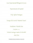 Problemática Social de Costa Rica en los años 30’s